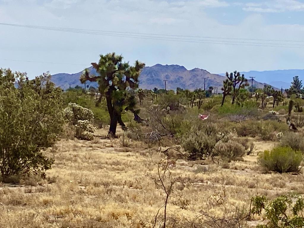 Not Applicable-1 - Land