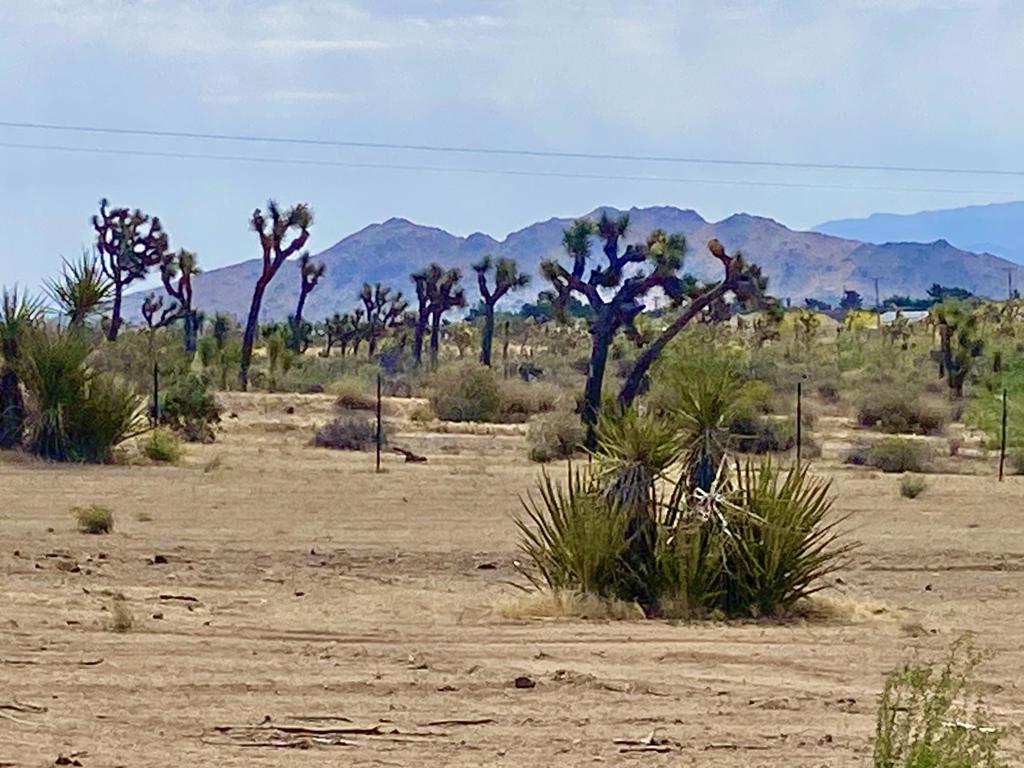 Not Applicable-1 - Land