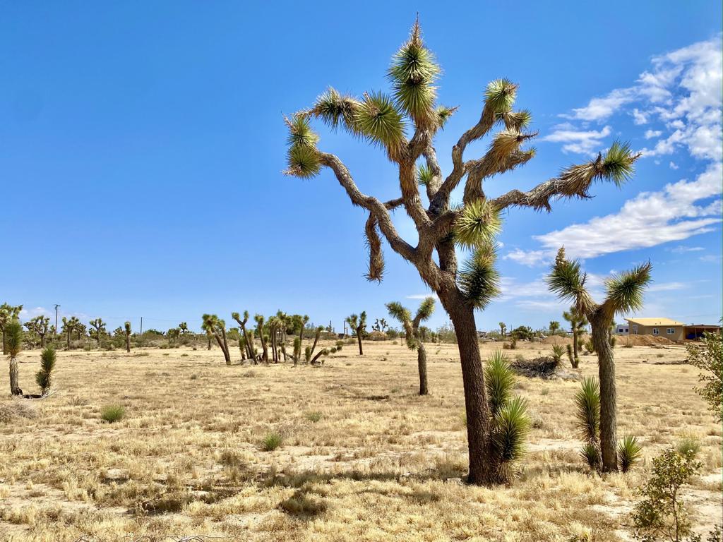 Not Applicable-1 - Land