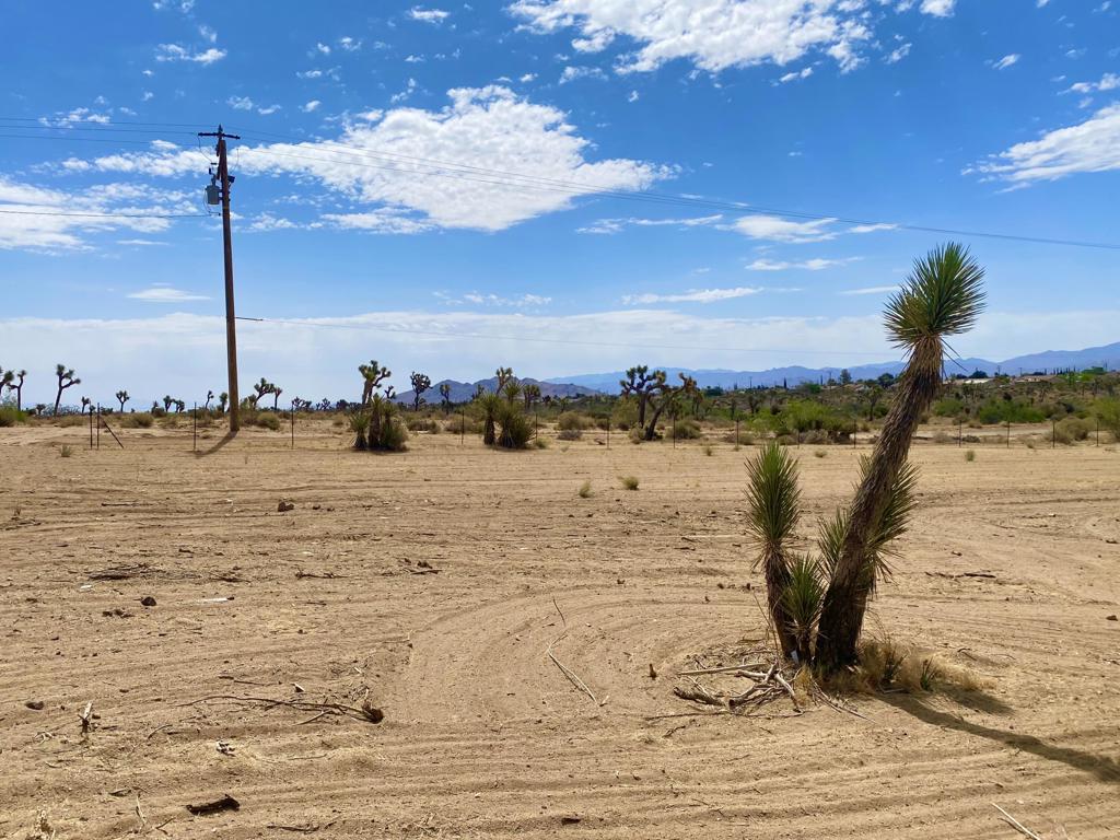 Not Applicable-1 - Land