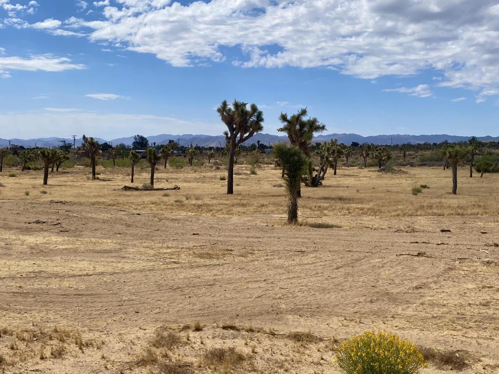 Not Applicable-1 - Land