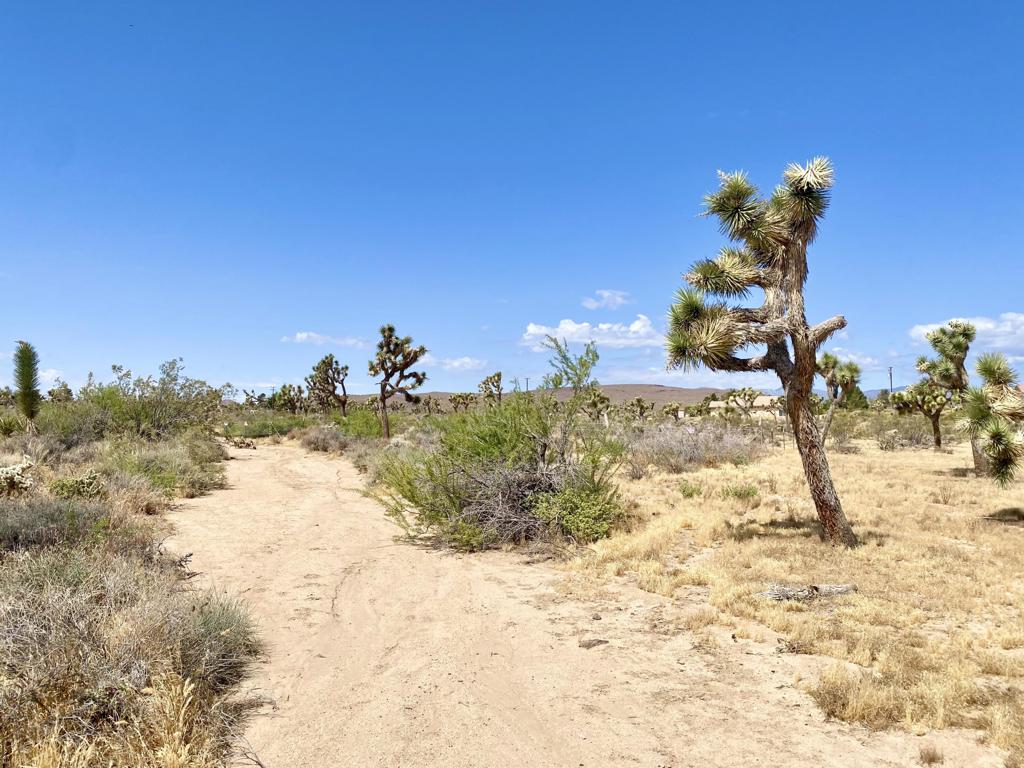 Not Applicable-1 - Land