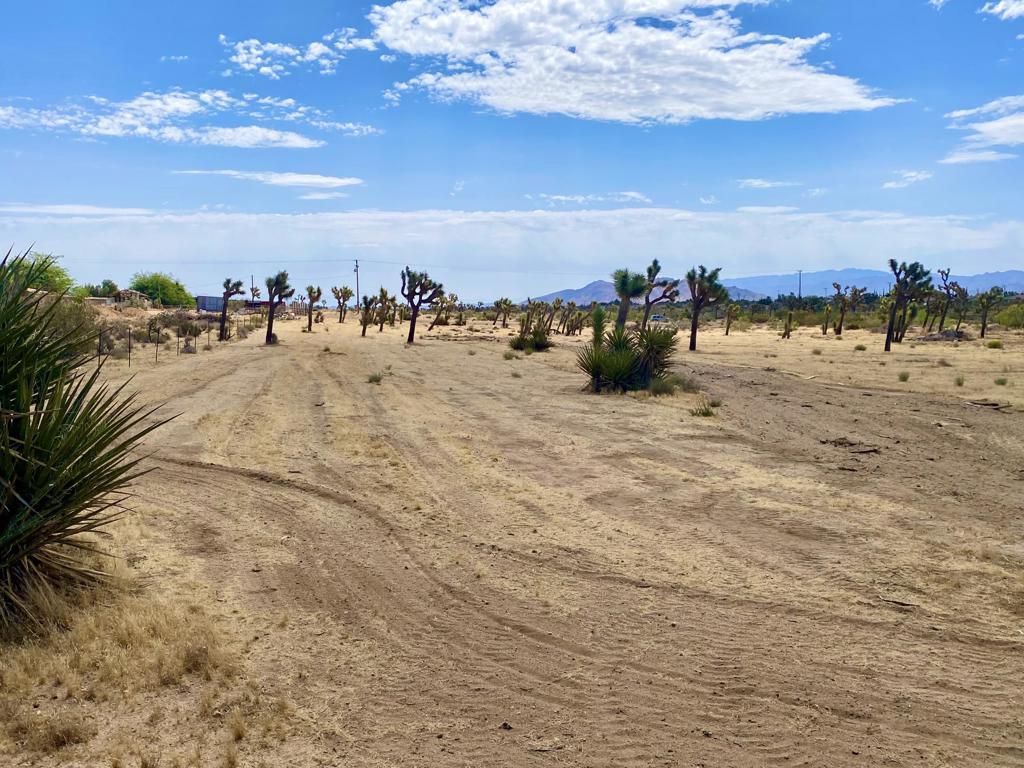 Not Applicable-1 - Land