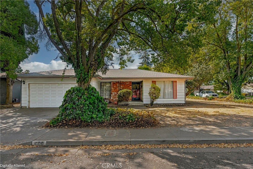 600 Dennis Court