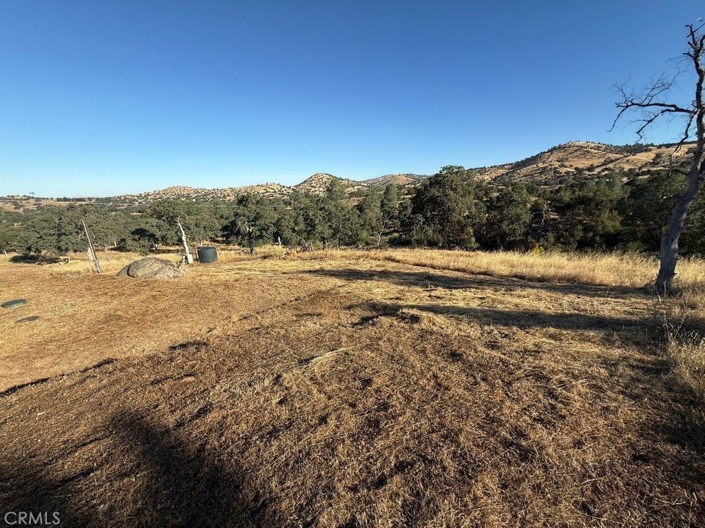 5358 Dunn Ranch