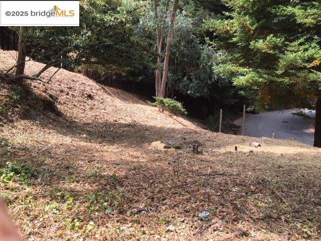 Exceptional frontage on this gently sloping Montclair lot. Plans drawn years ago and are available for review. Plans must be updated prior to submission to the city. Soils and survey are available. As the photos attest, this lot has some level land. This is very difficult to find in the Oakland. They are called the Oakland Hills for a reason. Close to shopping, restaurants, parks, and downtown.