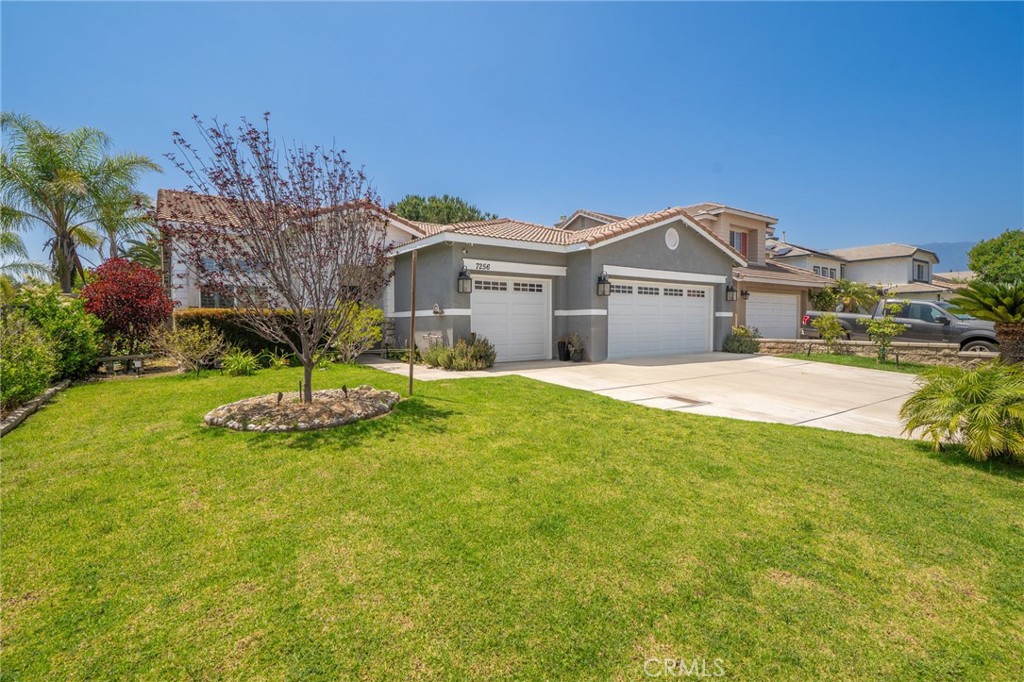 7256 Plumrose Street