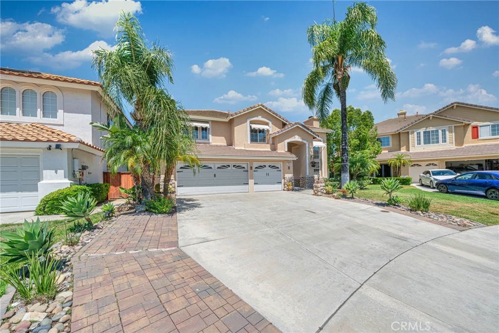 39647 Dartanian Place