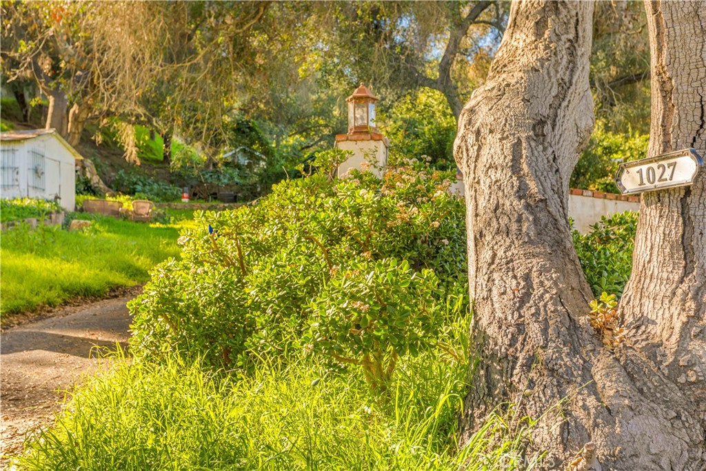 1027 S Live Oak Park