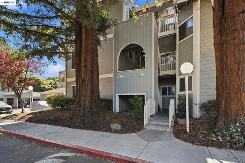 Photo of 3395 Pinewood Ter #304, Fremont, CA 94536 (MLS # 41128580)