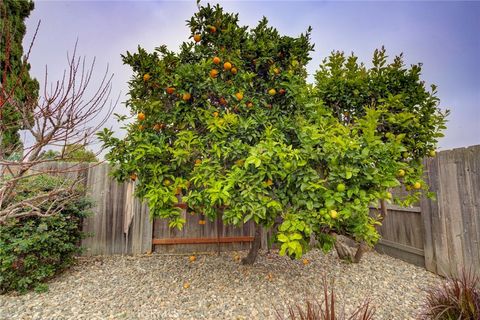 Tiny photo for 330 Stagecoach Rd, Arroyo Grande, CA 93420 (MLS # PI26077706)
