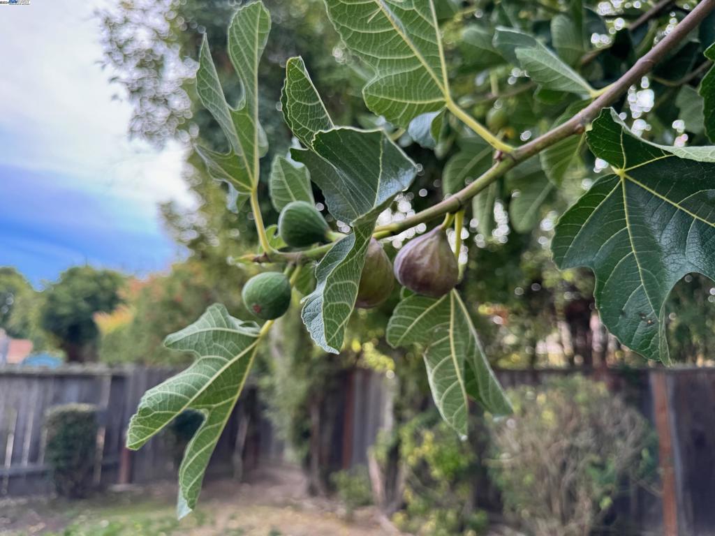 NORTH GATE - Residential