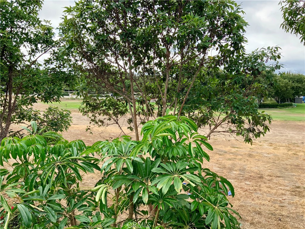 Northwood Villas (NV) - Residential Lease