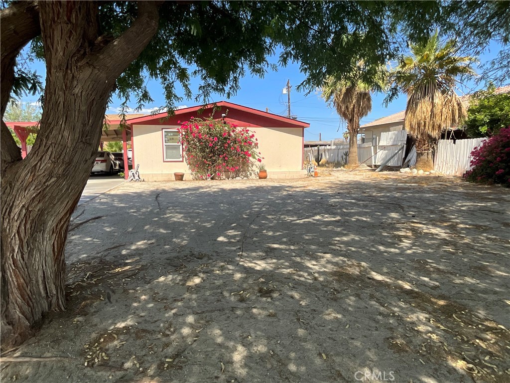 31163 Arbol Real