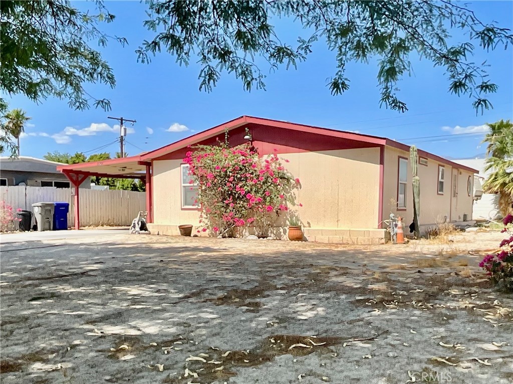 31163 Arbol Real
