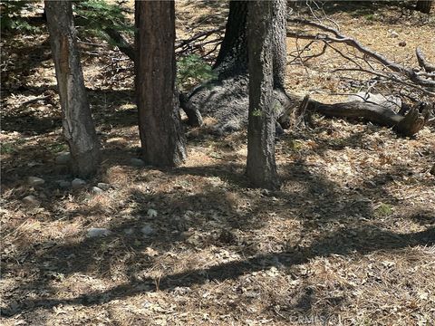 Photo of 16 Tank, Arrowbear, CA 92382 (MLS # OC25230402)