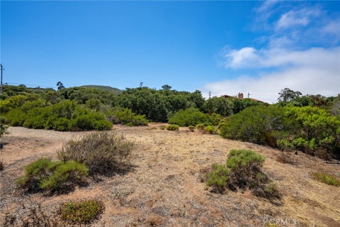 Tiny photo for 1210 Bayview Heights Drive, Los Osos, CA 93402 (MLS # NS26183831)
