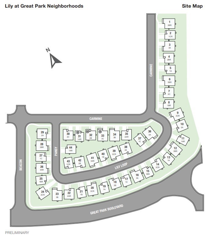 200 Lily Loop