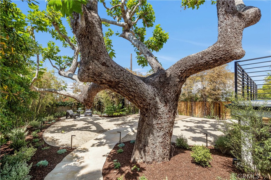 Woods Cove (WC) - Residential