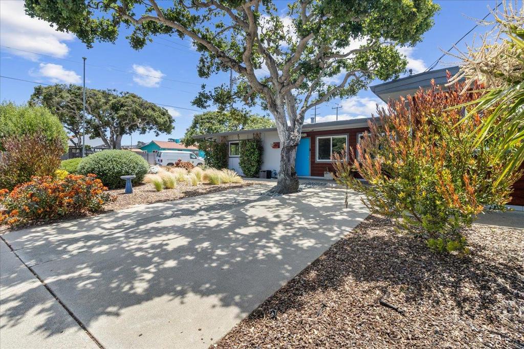 570 Casanova Avenue
