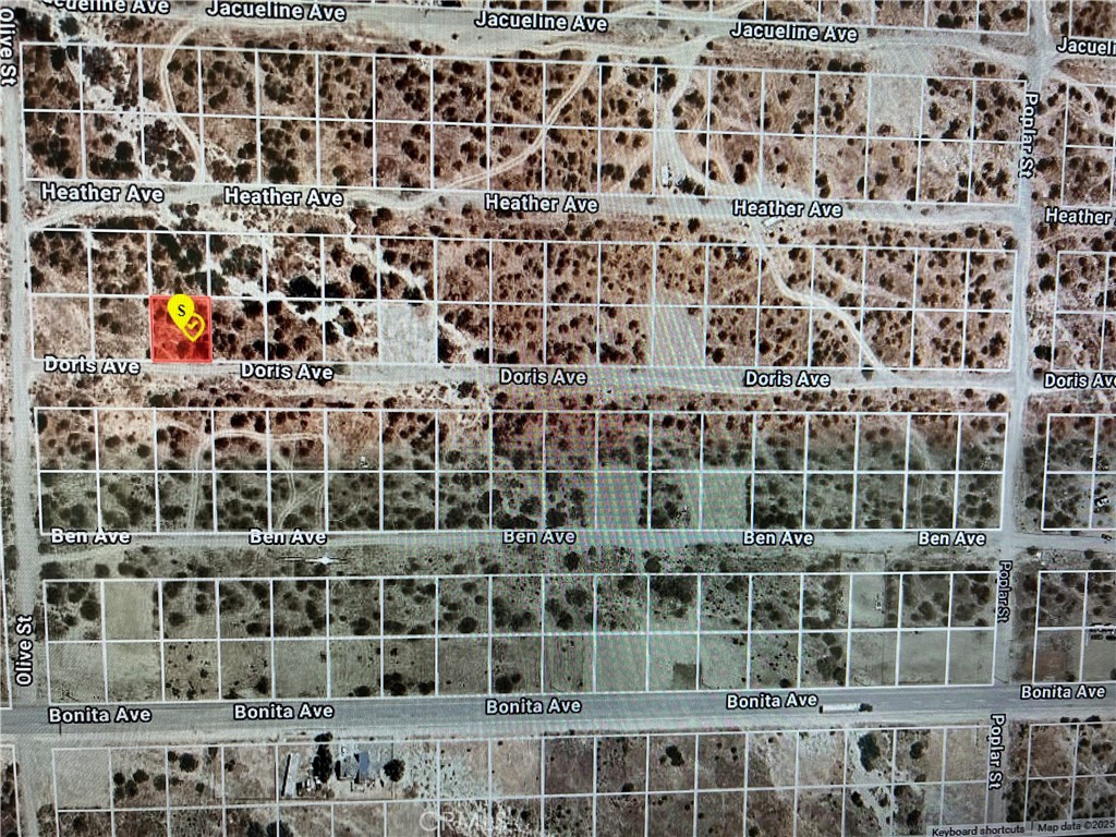 0 Doris Ave