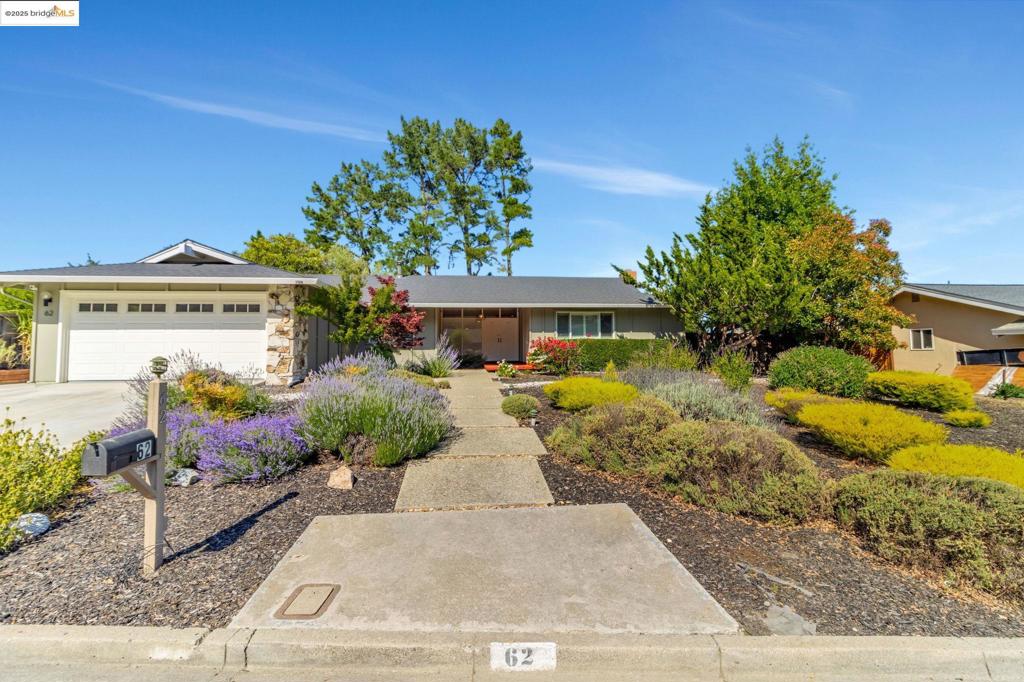 Seller motivated. Move in condition, one story. Beautiful Hillview. Coveted school districts. This 4 bedrooms 2 bathroom has open floor plan with the spacious living room, dining room and master suite. Modern design. Big windows and sliding window face the back yard with level deck with evergreen views. Walk to Los Perales Elementary School. Quiet and friendly neighborhood.