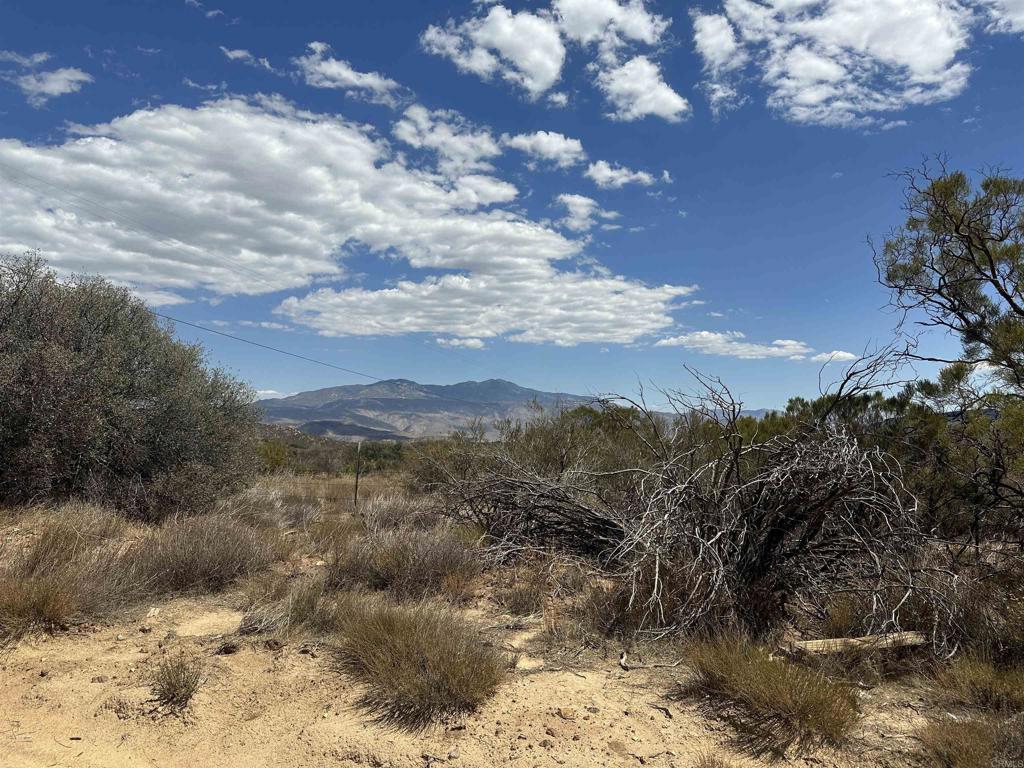 Discover a private retreat in the peaceful community of Anza. This spacious parcel offers plenty of room to create your own vision, whether that’s a weekend escape or a long-term investment. The property features its own private well and is electricity ready, making it easier to enjoy and use right away. With wide-open skies, mountain views, and a tranquil setting, this land is ideal for camping, outdoor recreation, gardening, or simply enjoying the quiet beauty of nature. Conveniently located within driving distance to Temecula, Palm Desert, and Idyllwild, you’ll enjoy both privacy and accessibility. This property presents an excellent opportunity to establish your own private oasis in a serene location.
