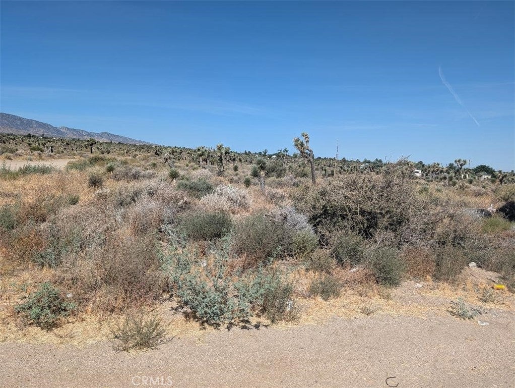 12 Sheep Creek