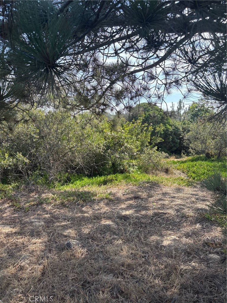 0 Smith Avenue