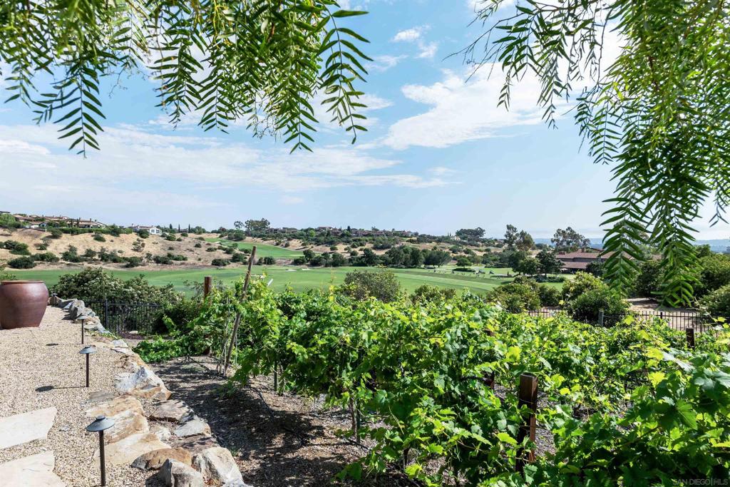 Santaluz - Residential