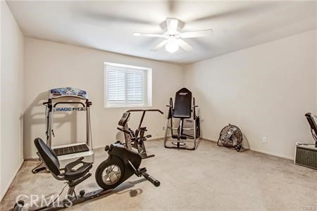 wild rose - Residential Lease