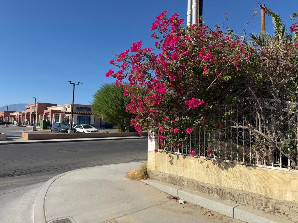 84966 Calle Verde
