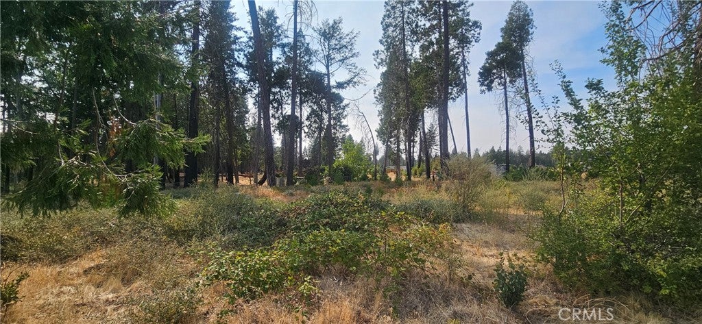 13901 W Park
