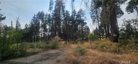 Photo of 13901 W Park DR, Magalia, CA 95954 (MLS # SN26190799)