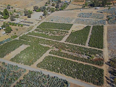 31820 Via Ararat Drive Bonsall CA 92003