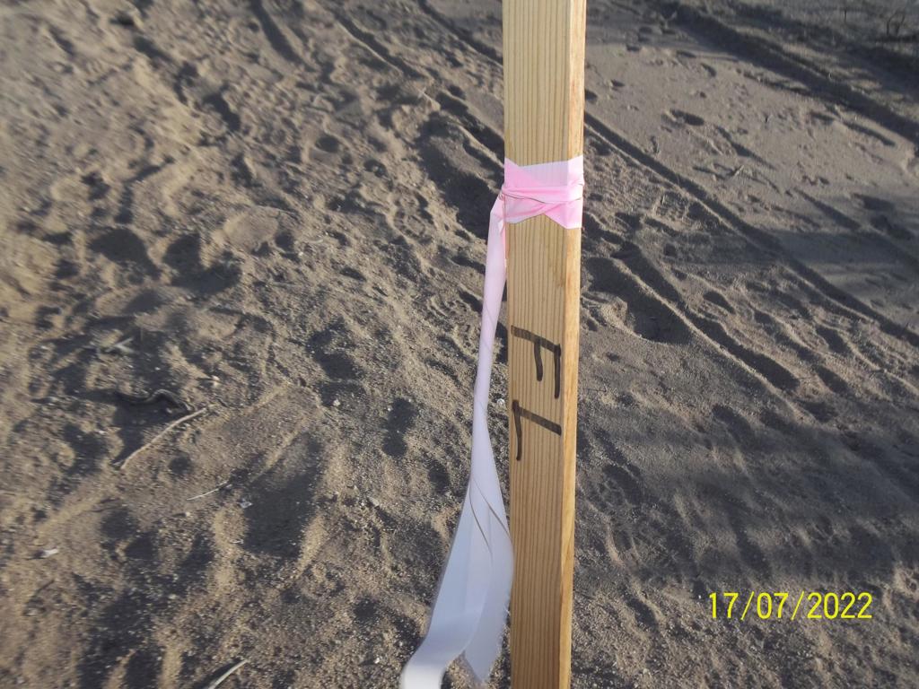 Not Applicable-1 - Land