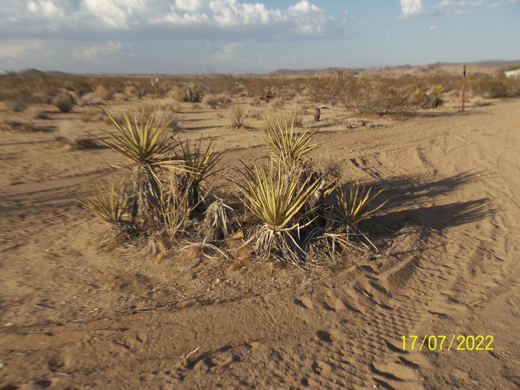 Not Applicable-1 - Land