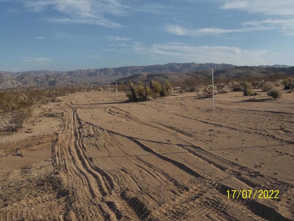 Not Applicable-1 - Land