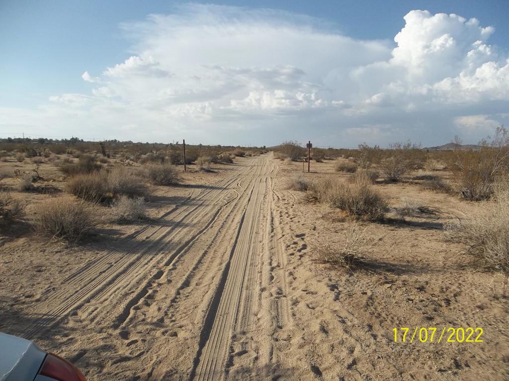 This Listing includes Assessor Parcel Number (APN) 0600-131-34. Both parcels are about 5 acre lots. Come see this outstanding properties. They have been surveyed. We installed basic fencing posts, mainly to denote property perimeters. Buyer to determine fence type. The Sunburst property is on paved road, while the adjoining 5 acre lot is on dirt road. There is a 10 ft access road all around the 10 acres. Includes driveway, Mail box, walking and running trails, no trespass signs. Easy to access. All utilities are available on Sunburst Ave. Make Offer. San Bernardino County says you can build 3 SFRs and 6 Additional Dwelling Units (6) on this properties.