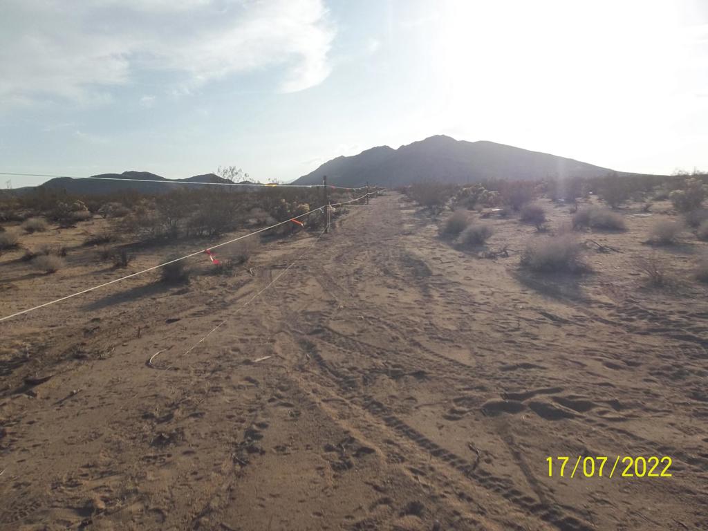 Not Applicable-1 - Land