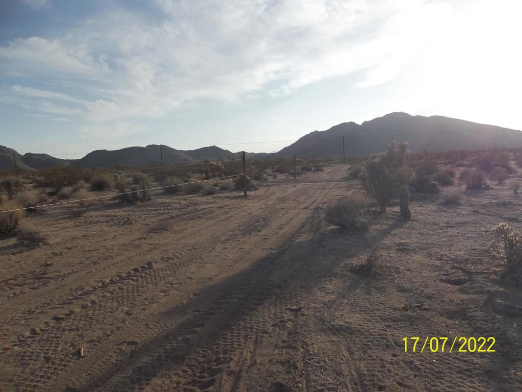 Not Applicable-1 - Land