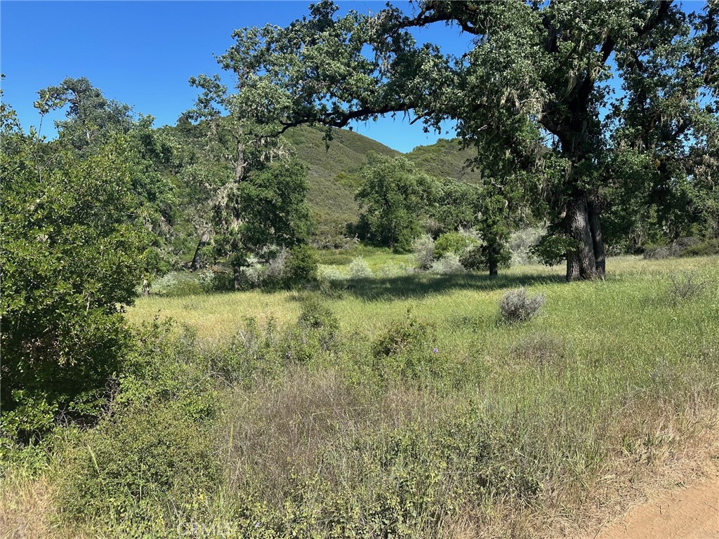 Highland Creek runs through this 332 acre property for over 1/2 mile. There are some nice building sites along the creek tucked in some majestic oak trees, from there trails run up the hillsides to great views. A well needs to be dug, but neighboring properties have developed wells and power is at the property line. You will also need a stream crossing. Property definitely has potential, and great price.