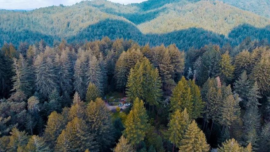 Come build your dream. A family compound? Retreat center? Short term rental business? 8.4 breathtaking acres spread across a redwood forest, through sunlit meadows & up to a ridge, w/ views of the surrounding mountains & Nisene Marks State Park as your private backyard! This property has all utilities in place including a deep well w/ osmosis system providing delicious water, & high-speed internet across the numerous cottages. 2 separate driveways create private access for your family or business, w/ flexible zoning for endless opportunity. & a Cal Forestry contract is available for clearing & fire protection, w/ a sizeable potential income. Majestic views greet you at every turn, walking trails connect 5 living quarters & gardens. 20 different fruit trees, Mediterranean plantings, & hundreds of towering redwoods make for a gorgeous landscape (one of the nations top redwood scientists identified this property as having the tallest second growth forest around **WOW**).