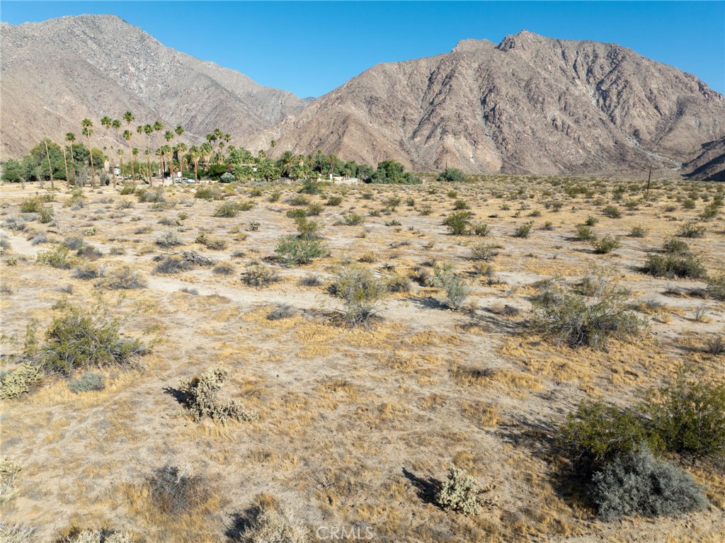 1.2 acres of flat land located in Borrego Springs, CA. Beautiful mountain views, in a peaceful retreat style location. Utilities located at the front and rear of the property parcel. Zoning allows single family residential homes and mobile homes. Horticulture, Cultivation, Tree Crops, Row and Field crops, and Animal Raising allowed under the zoning. Borrego Springs is a village within a park, completely surrounded and protected by the Anza-Borrego Desert State Park, is the largest desert state park in the contiguous United States with over 660,000 acres. Borrego Springs provides endless opportunities for outdoor recreation. Recreational activities include camping, hiking, motorcycle riding, photography, and sky gazing. The property is located close to town, just minutes to Christmas Circle where many community events take place including the Friday farmers market, Circle of Art, and Borrego Days. The lot features close up views of the iconic mountain peak know as Indianhead. This property is located within a dark sky community, with the opportunity to experience the night sky in its full splendor, with minimal light pollution allowing for unparalleled stargazing experiences. Borrego Springs is less than a 2 hour drive from San Diego or Palm Springs.