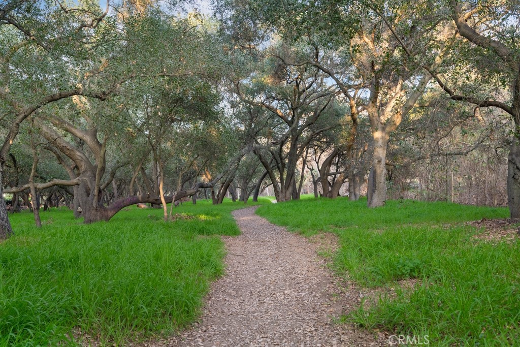 1243 Liverpool Court