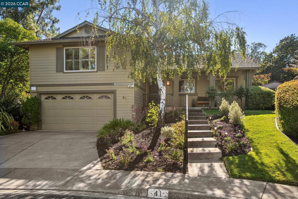 41 Burnham Ct CT, Pleasant Hill CA 94523