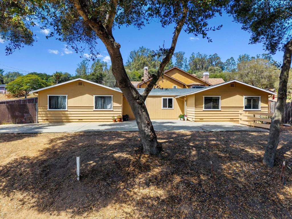 76857695 Pine Tree