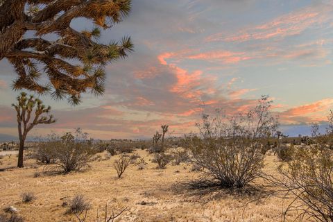 Photo of 60531 Cielito Drive, Joshua Tree, CA 92252 (MLS # 219146242DA)