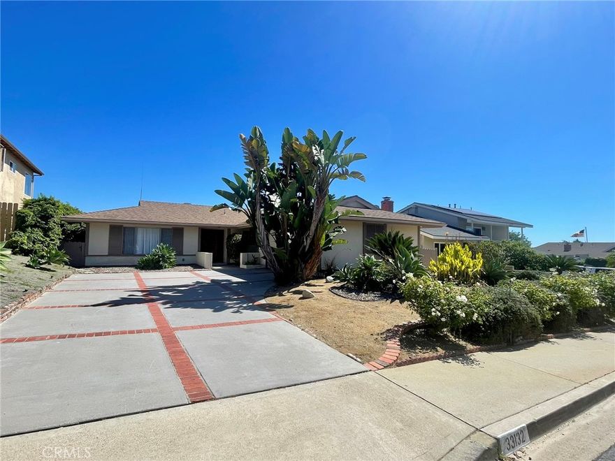 GREAT Single level 3 bedroom VIEW house in the Thunderbird Capistrano neighborhood with a VIEW of the whole Capistrano Valley with Hills, Valley, Lights and some ocean! Spacious floorplan offers a separate Living Room, a Family/Dining Room with Gas log Fireplace, Large kitchen with tiled counters  Plus an added Sunroom at the back of house ! Two car garage with extra shelving/storage. Full size laundry room area between house and garage. LOTS of cupboards in the hallway! New paint and carpet throughout. Split level community park at the entrance to this great neighborhood and you can also walk to Dana Woods Park PLUS just minutes to Dana Point Harbor, Beaches, boating, dining, shops, schools, Organic farm stand, Costco, Trader Joe's & more!  NO pets.  Refrigerator included. No parking of RV, boat or trailer (Or anything similar) in driveway. NO smoking allowed anywhere on premises.