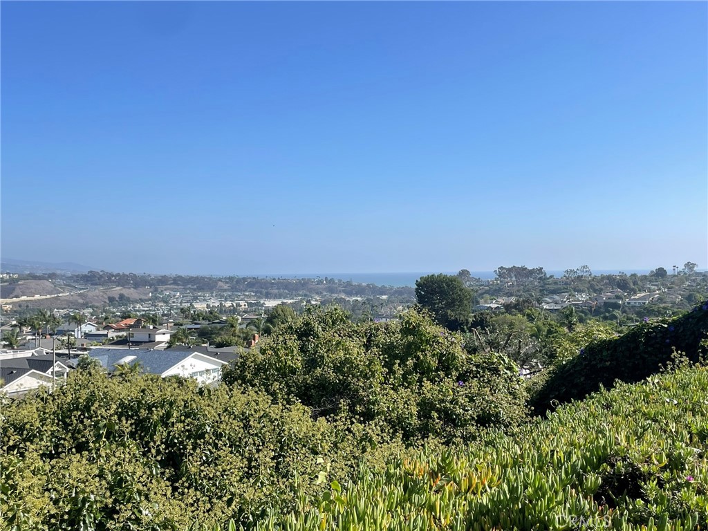 Thunderbird Capistrano (TC) - Residential Lease